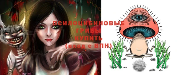 ешки Алексин
