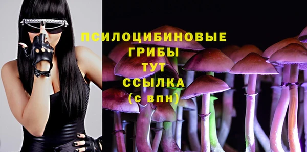 герыч Алзамай